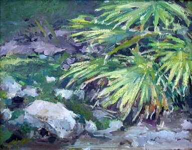 Palm and Rocks