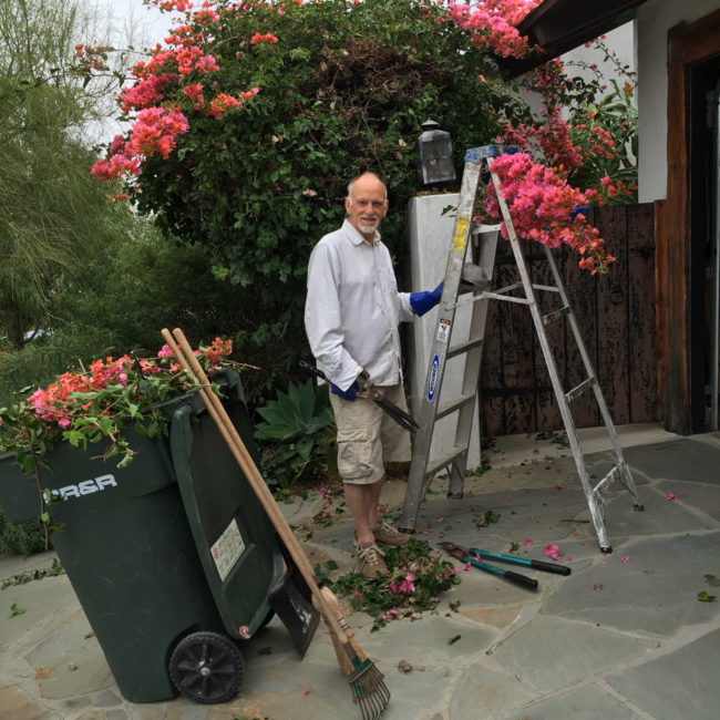 bougainvillea-and-me