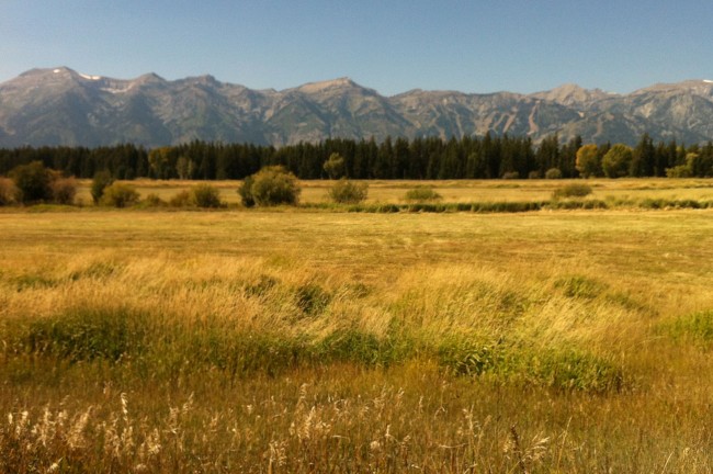 Grass-Mountains