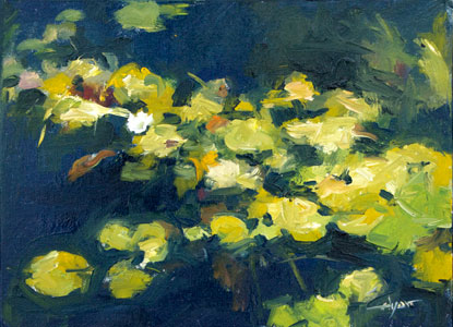 Lily Pads Koi, Small