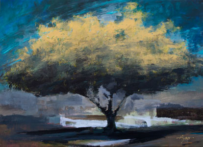 Palo Verde