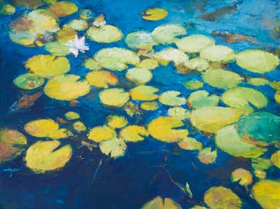 Pond Lilies