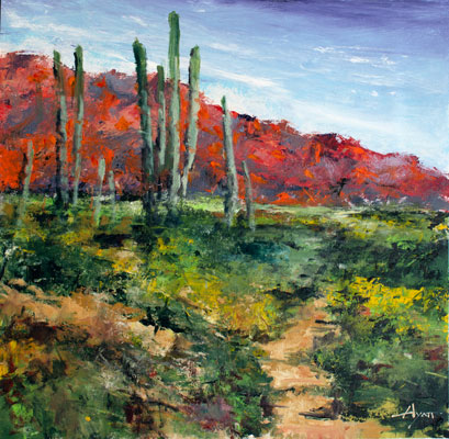 Saguaro Sunset