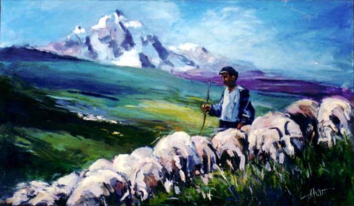 Mountain Shepherd